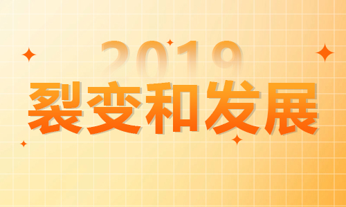 2019年